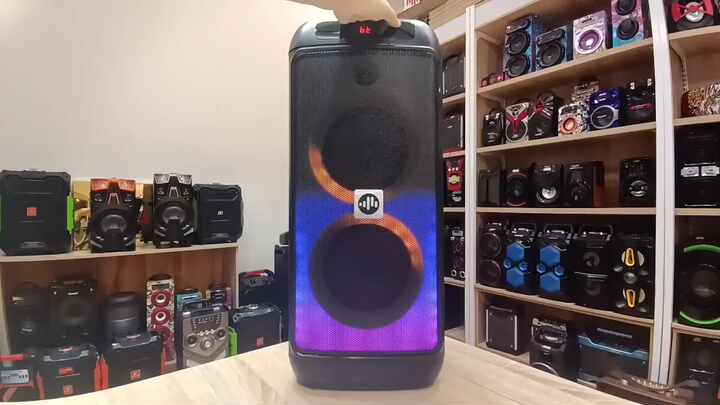 Pro Sound Outdoor Speaker Waterproof IPX4 Wood Bluetooth DJ