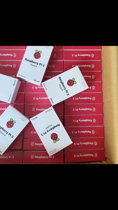 Raspberry