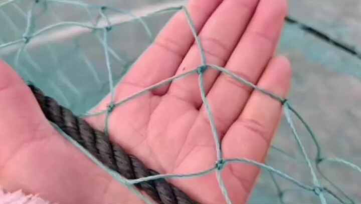 bulk netting fishing Mid Lakes Big Fish Net 36" Sliding Handle 22"X27" For beginning fishermen and advanced anglers alike 2026 Factory Price and Bulk