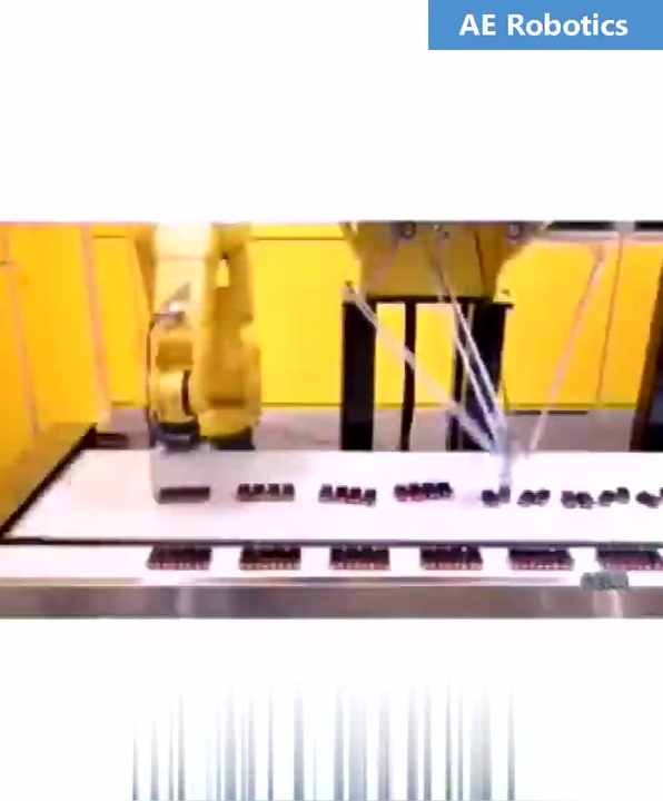 FANUC M-900ib Robot Arm DOF Pick and Place Solution