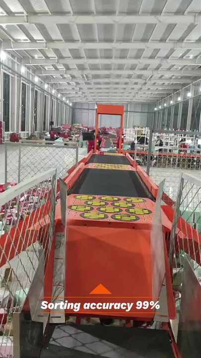 High Speed DWS Weighing Scanning Sorting Machine Meaning Logistics ...