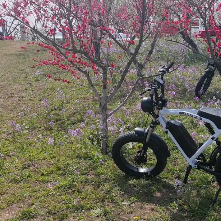 electric bike bicycle HovAlpha 26" Electric Fat Bike