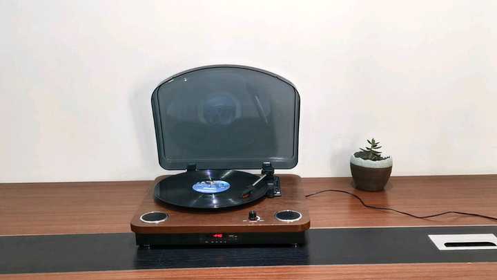 Top Quality Rotating Plate Turntable USB FM Bluetooth Speaker