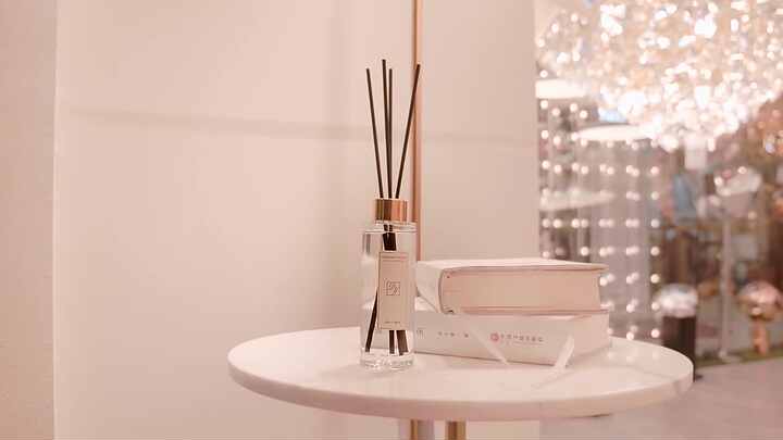Best Reed Diffuser Oil Refill 100ml Home Decor Perfume