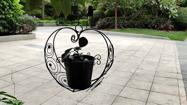 swiss.cheese plant Rare Monstera Adansonii 'Swiss Cheese'