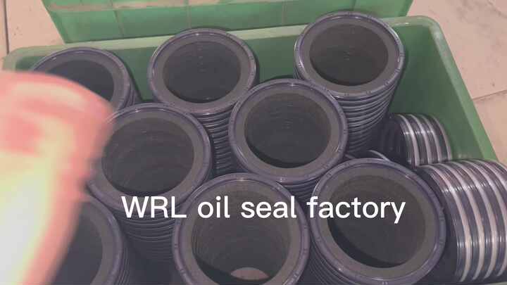 Crankshaft Oil Seal Size 100*130*14 - OEM BZ0650E for DL08