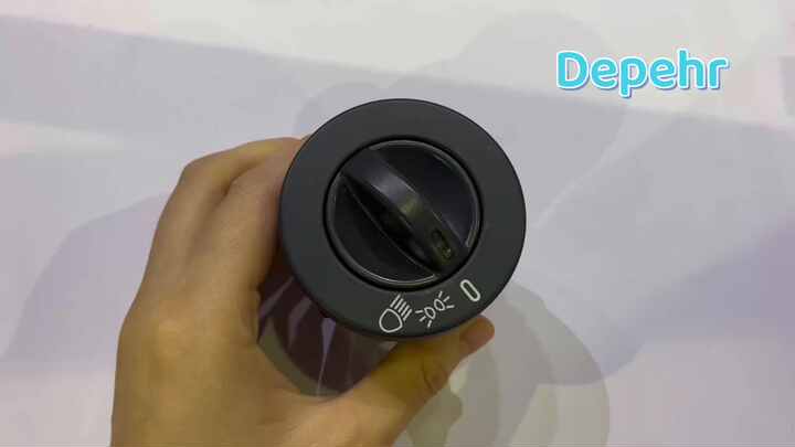 Wholesale 81255250193 81255056818 81255256703 81255250130 Depehr 