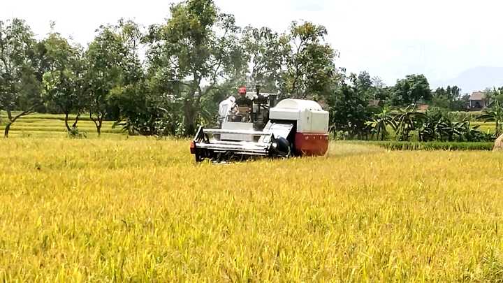 スター　ヘーベーラー　コンパクトベーラー　コンポ機 スター ヘーベーラー コンパクトベーラー コンポ機 スター農機