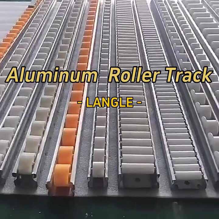 Roller Track Chain Driven Roller Conveyors with Flanged Wheel - Langle ...