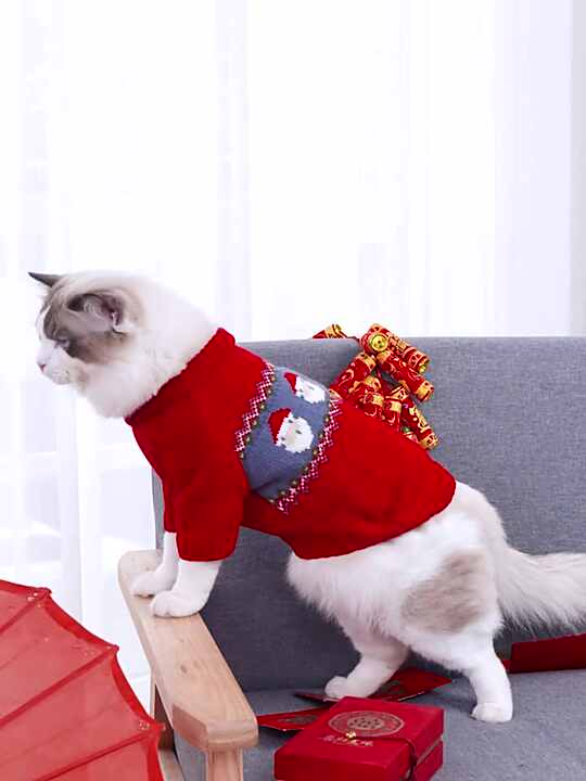 Custom Knit Dog Sweaters Perfect for Winter Holidays