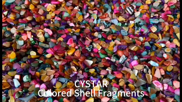 Shell fragment. Shell fragment