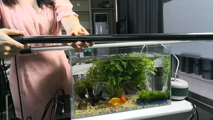 O1CN01U8KHYR22ksDo58haw_!!