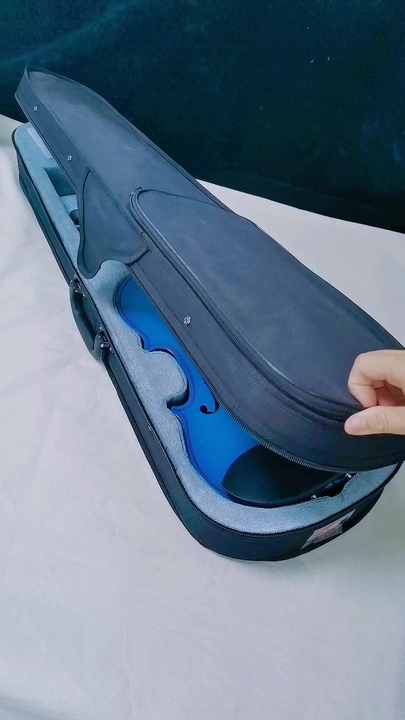 Cheap Price Color Student Beginner Plywood Violin Maplex