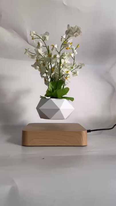 Magnetischer Levitations Displayständer | 360° Drehbar 300g Kapazität