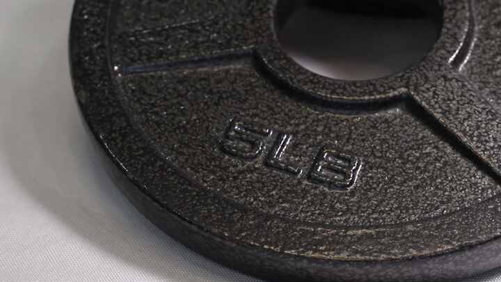 Proiron Weight Plates Durable Cast Iron Gym Equipment
