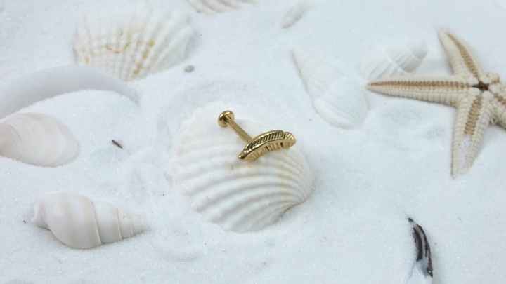 G23 Titanio Feather Threadless Push Pin Labret Tragus Cartilage