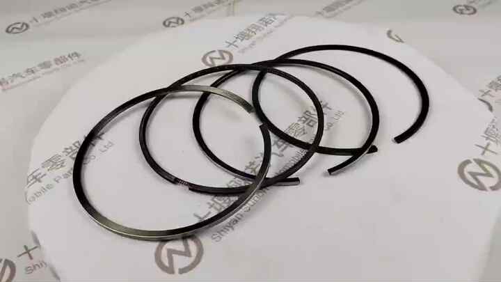 Piston Ring Set 3631247 3803533 4089501 for diesel engine KT19 