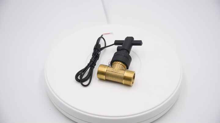 Magnetic Reed Switch Water Paddle Flow Switch for Pool