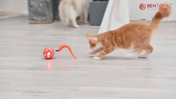 BENTOPAL Interactive Dog Toy Wicked Ball for Indoor Cats/Dogs with