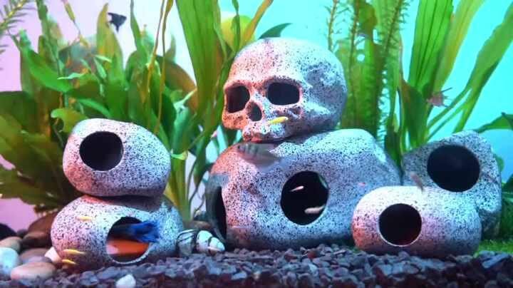 魚エビ繁殖用マーブルセラミックロックシクリッドストーンシェルター