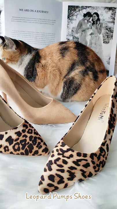Big Size 35-44 Ladies All Match Women High Heel Dress Shoes