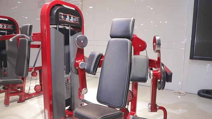 K*様 手渡し限定 CYBEX 「VR1」プルダウン ウエイトスタック背中/ボデ