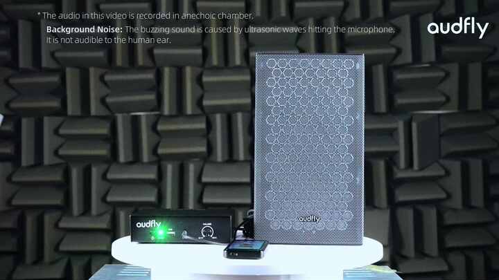 Audfly Professional Ultrasound Directive Speaker Model B2 Wall