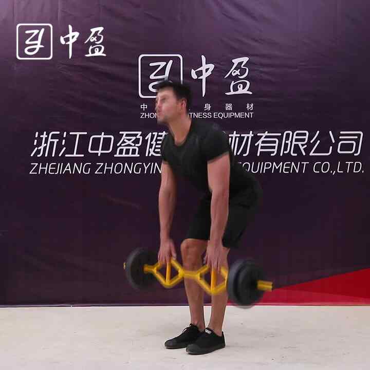 ZYFIT ホームジム フィットネス ハンマーカール ボディビルディング