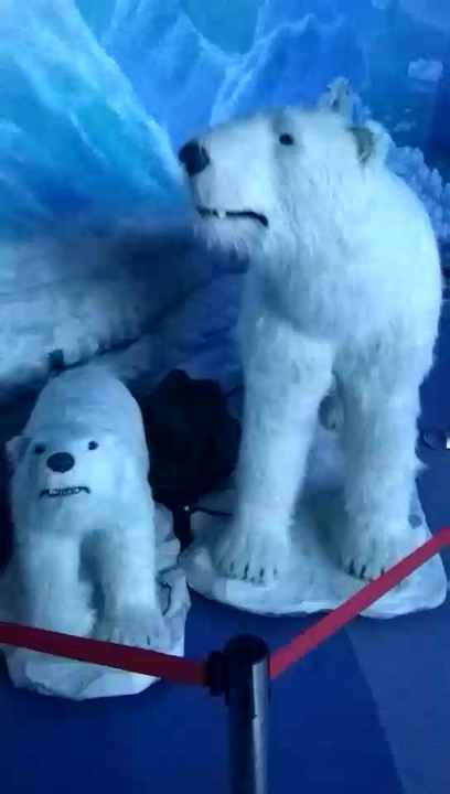 シロクマ ミニチュアアニマル シロクマ