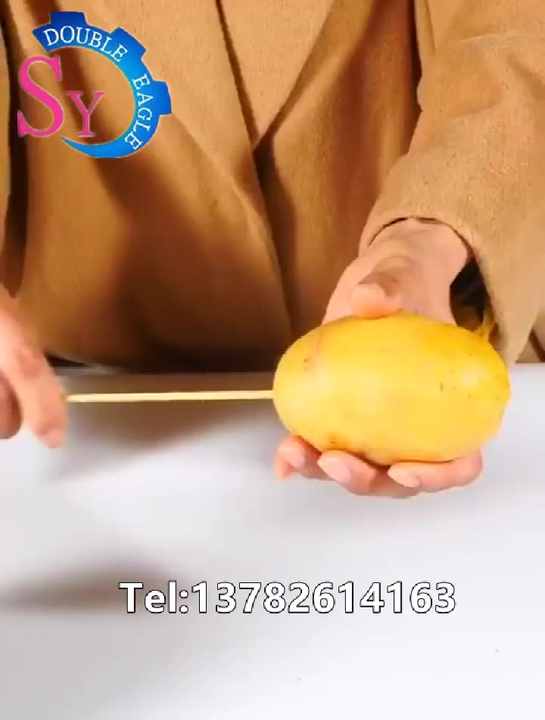 Household Small Stainless Steel Hand Potato Spiral Cutter
