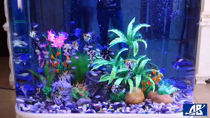Acquario Curved Garden Big 16 Litri - Vetro High Quality Con Angoli Arrotondati | 35x20x23 Cm