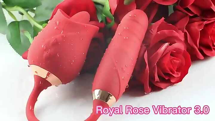 2 in 1 Rose Vibrator with Tongue and Dildo Clitoral Licking Vibrator Thrusting Adult Toys for Women 2 in 1 Rose Vibrator with Tongue and Dildo Clitoral Licking Vibrator Thrusting Adult Toys for Women