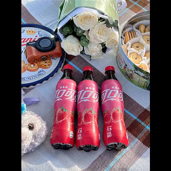 卸売コカコーラスプライトファンタソフトドリンク500mL炭酸飲料