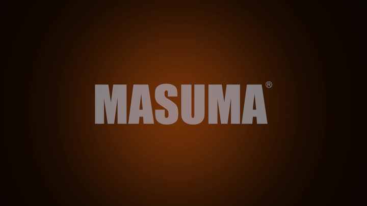 G5411 Japan MASUMA Car Shock Absorber 333390 Front Right