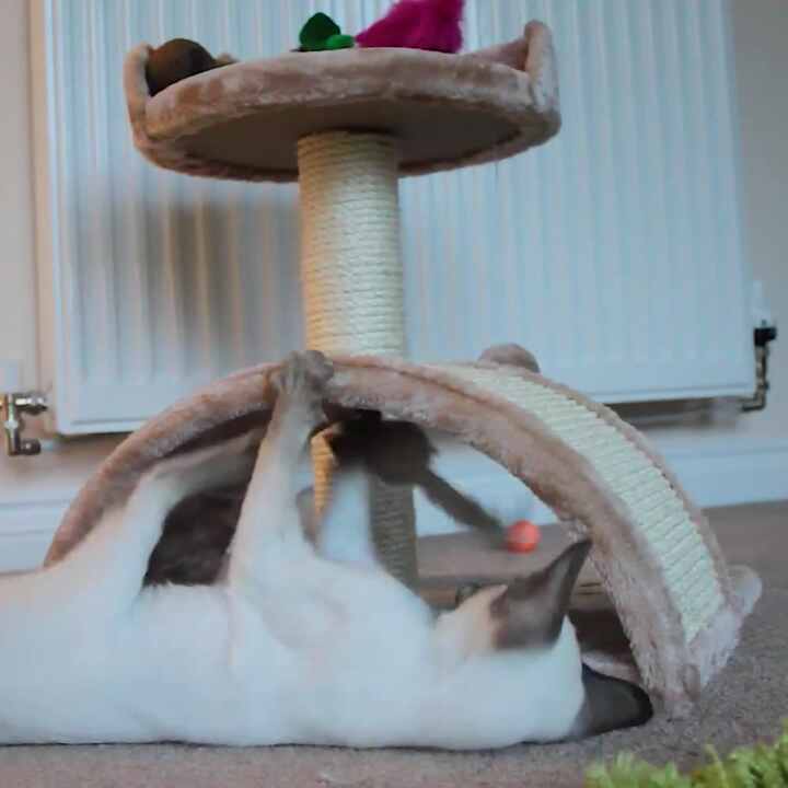 free sample factory hand made cat tree customized design - buy