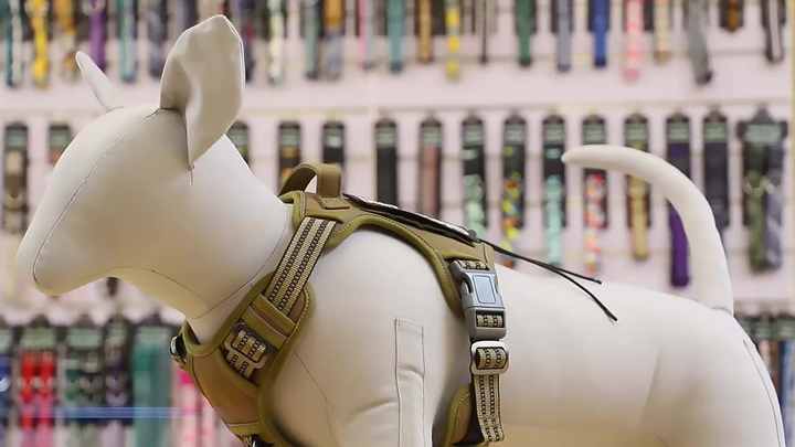 Durable Oxford Solid Print Mesh Dog Vest Harness Neoprene Padded Reflective  Quick Release Fashion Sport Dog Harness Leash Set