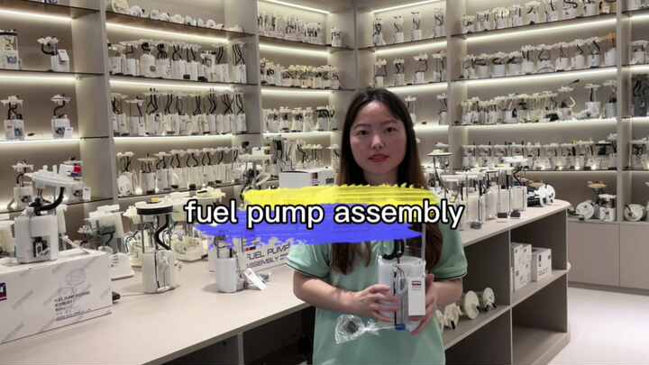 Electric fuel pump assy part number 3N619H307 fuel tank filter 