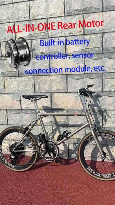 30v 250W 350w Brushless Dc Wheel Fat Bike Hub Motor 24v Bldc Motor