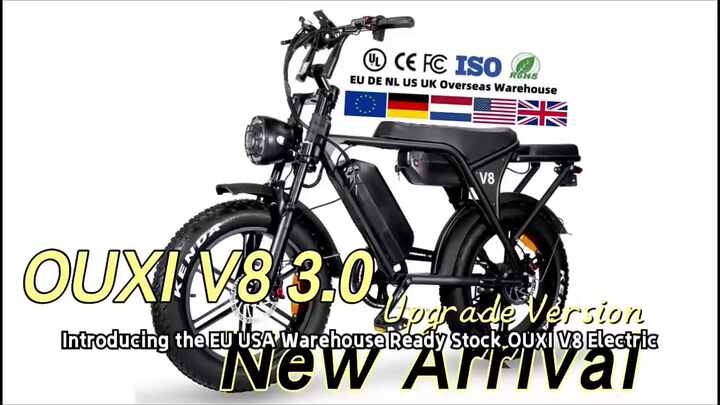 OUXI V8電動自転車 20インチファットタイヤ 250W アダルトバイク