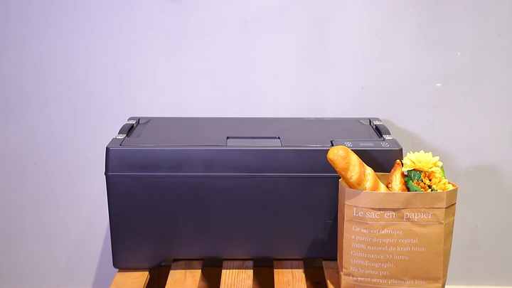 Tesla Model X 40L Car Fridge - Portable Compressor Freezer