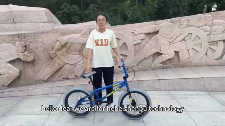 Freestyle BMX 20 Inch Bike for Adults Customized OEM