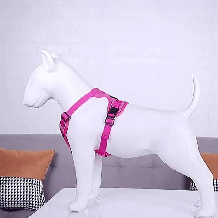 Summer Breathable Mesh Adjustable No Pull Dog Harness Pet Collar