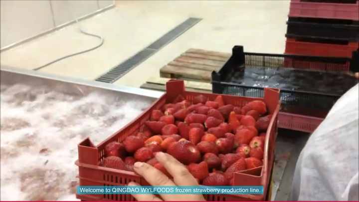 ts　ルクルーゼ　ラズベリー　ブラックベリー　ストロベリー　ブルーベリー ts ルクルーゼ ラズベリー ブラックベリー ストロベリー