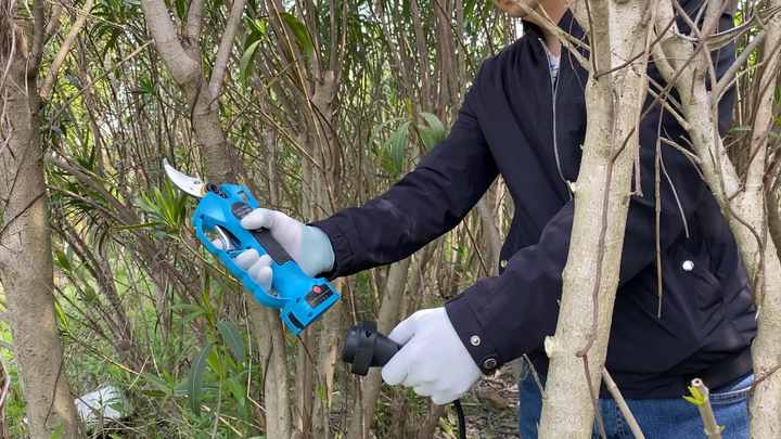 40mm Cordless Electric Pruning Shears Professional Tool1