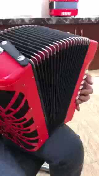 ヴィンテージ トイ アコーディオン イタリー製 楽器