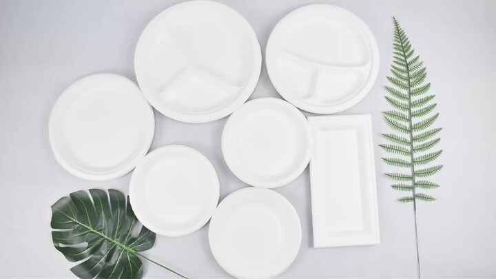 sugarcane round disposable sugarcane fiber compostable 100%