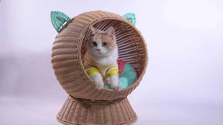 Luxury Pet Bed XH Plastic Rattan Woven Apple Cat Dog Bed
