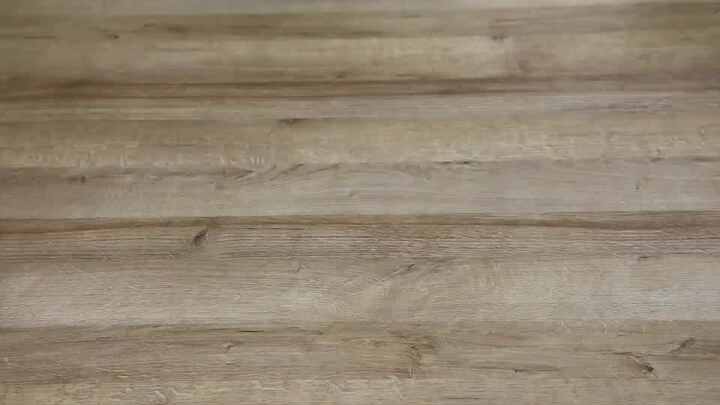 EDUMAN Kit Scavo Fossili Ambra Per Bambini Con 6 Piante Vere - Gioco Scientifico E Stem - 4