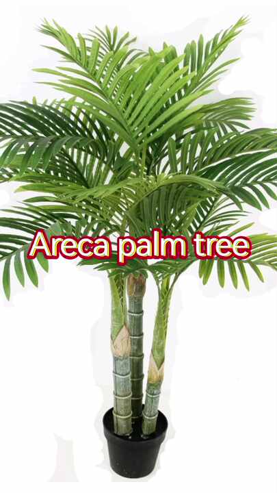 indoor plant food miracle gro Miracle-Gro Indoor Plant Food main image 0