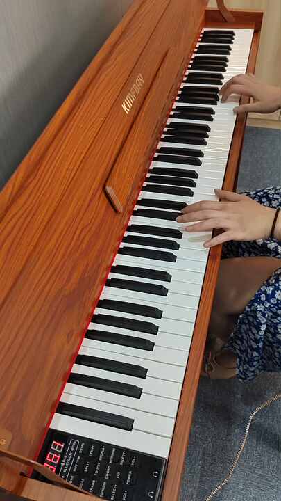 Blanth digital piano best sale